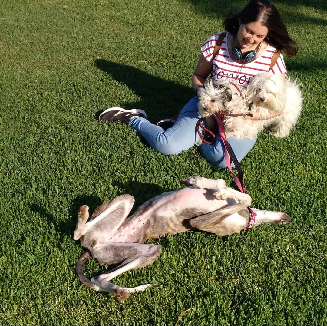 Cuidado de mascota a domicilio